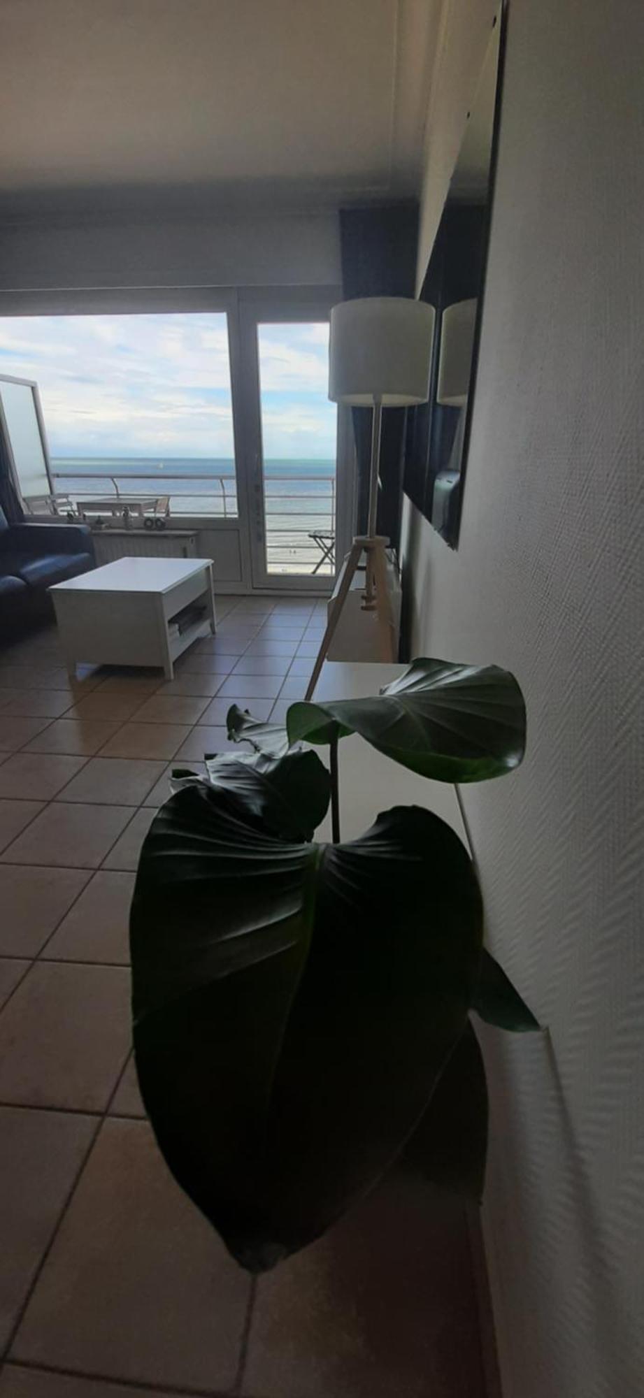 Lo & L'Oo Apartment ออสเทนด์ ภายนอก รูปภาพ